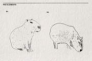 Sketches of capybara animals in PNG, an Animal Illustration by LOKSKIH (Thumbnail 4 of 4)