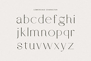 Leony - Elegant Serif, a Serif Font by Tammami (Thumbnail 4 of 12)
