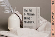 Dallen Blur, a Serif Font by Craft Supply Co. (Thumbnail 3 of 8)
