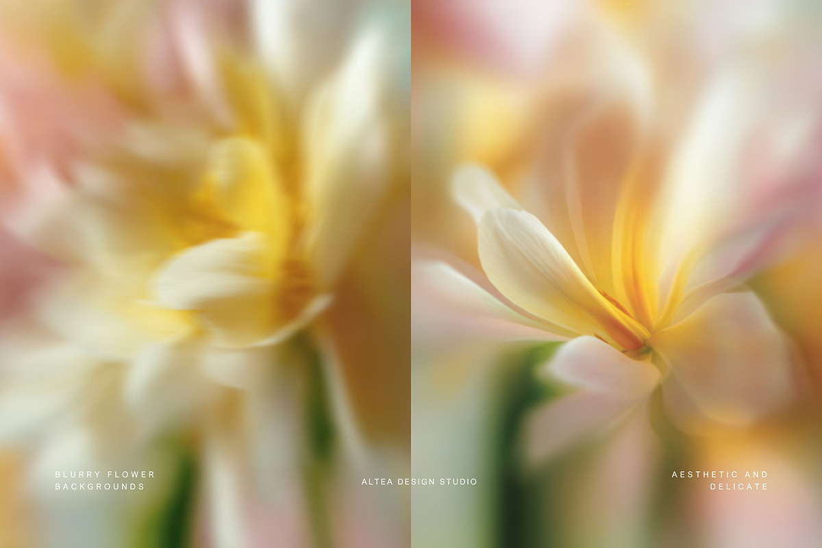 Dreamy Floral Blurred Backgrounds, a Background Graphic by Altea Design Studio (Photo 9 of 16)