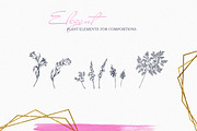 Blossom.Vol.1 - graphic botanica., an Illustration by Fresh-shop (Thumbnail 4 of 7)