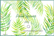 Watercolour clipart Palm Leaves, an Illustration by AqwaColor (Thumbnail 1 of 3)