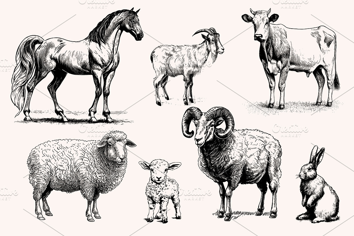 Farm Animals Collection 34 arts, a Graphic by IPVector (Photo 3 of 7)