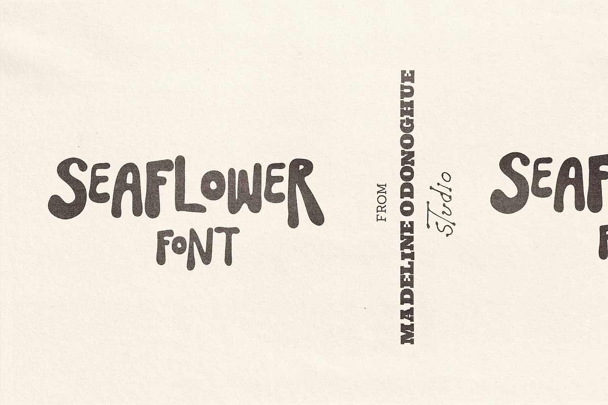 SeaFlower | Hand Drawn Surf Font, a Handwritten Font by Madeline ODonoghue Design (Photo 1 of 3)