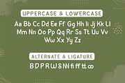 Cyhiru | Handwritten Display, a Sans Serif Font by twinstd (Thumbnail 8 of 10)