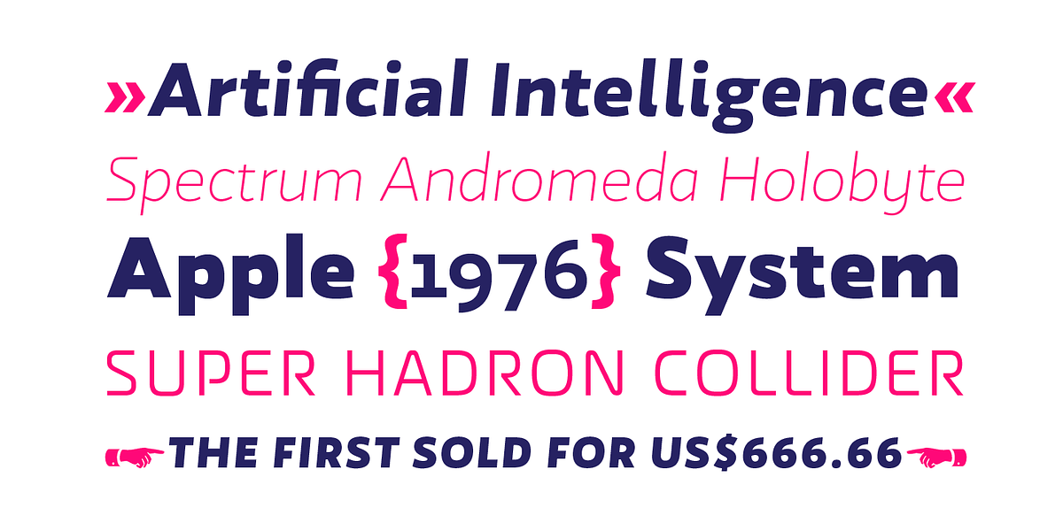 Wozniak, a Sans Serif Font by Untype (Photo 20 of 26)