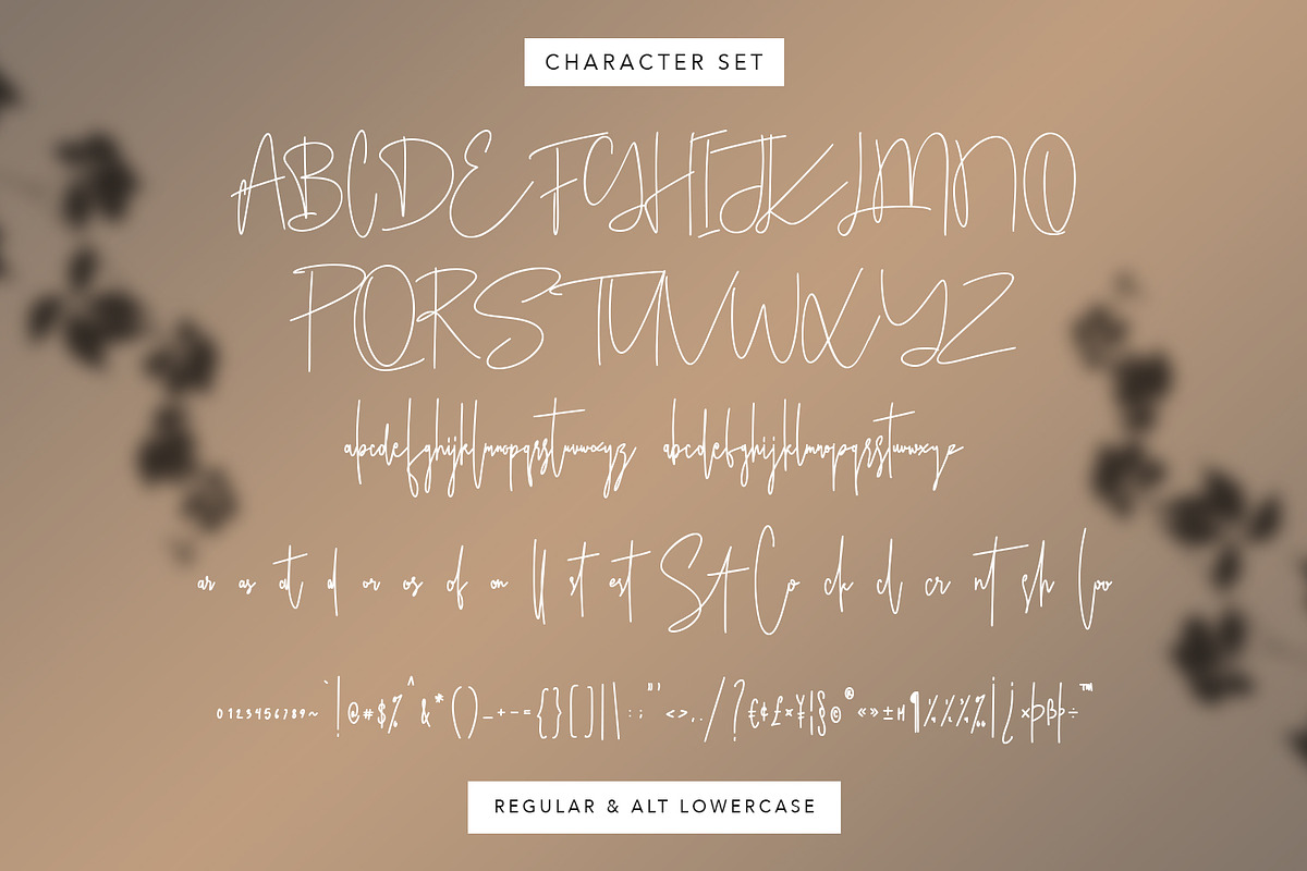 Ameriondela Luxury Classy Font, a Script Font by Maulana Creative (Photo 6 of 11)