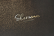 Gallendo, a Script Font by Sarten (Thumbnail 2 of 11)