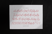 Boudica Perfect | Handwritten Script, a Script Font by gracetype_studio (Thumbnail 10 of 12)