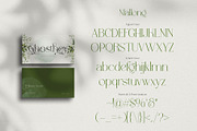 Mallong Typeface, a Serif Font by alit design (Thumbnail 5 of 17)