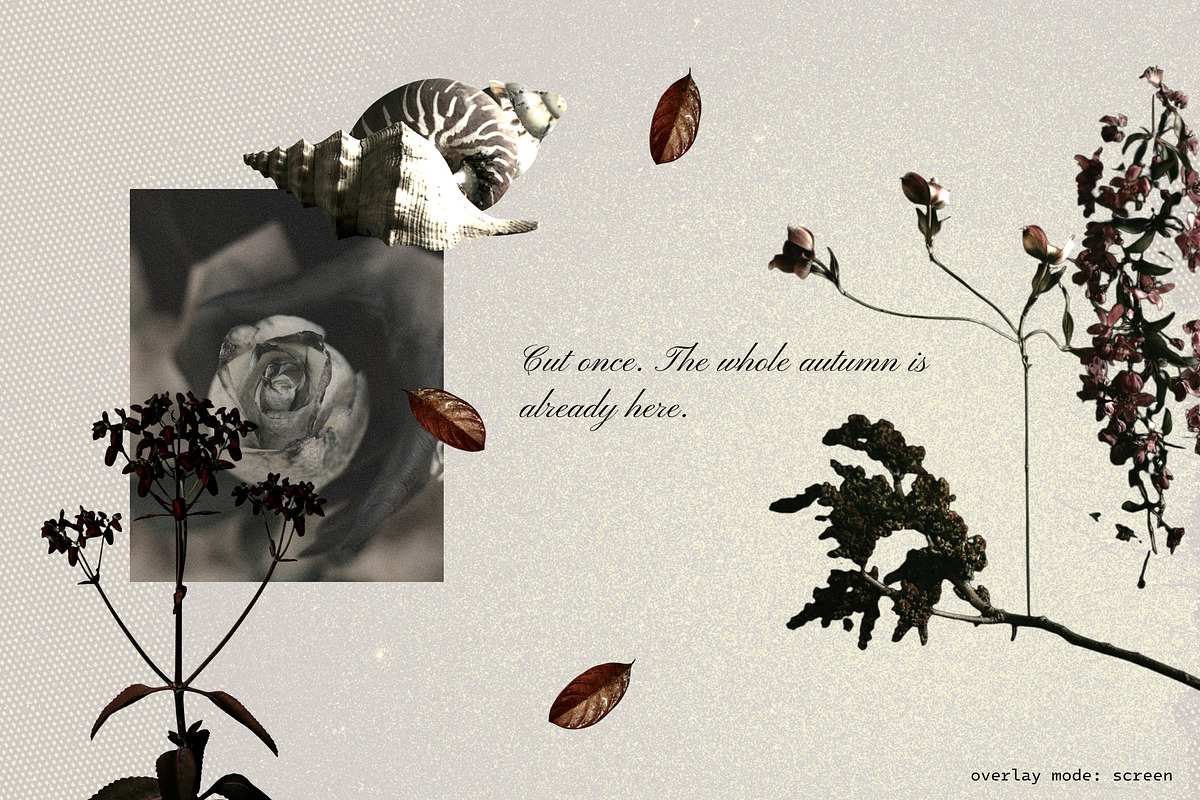 Moody Autumn Ephemera Collage Kit, an Object Graphic by Anzhelika (Photo 3 of 10)