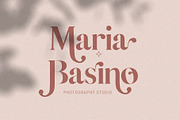 Vicky Christina Ligature Serif Font, a Serif Font by SilverStag Type Foundry (Thumbnail 9 of 25)