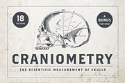 Craniometry, an Object Graphic by Sick Optix (Thumbnail 1 of 8)