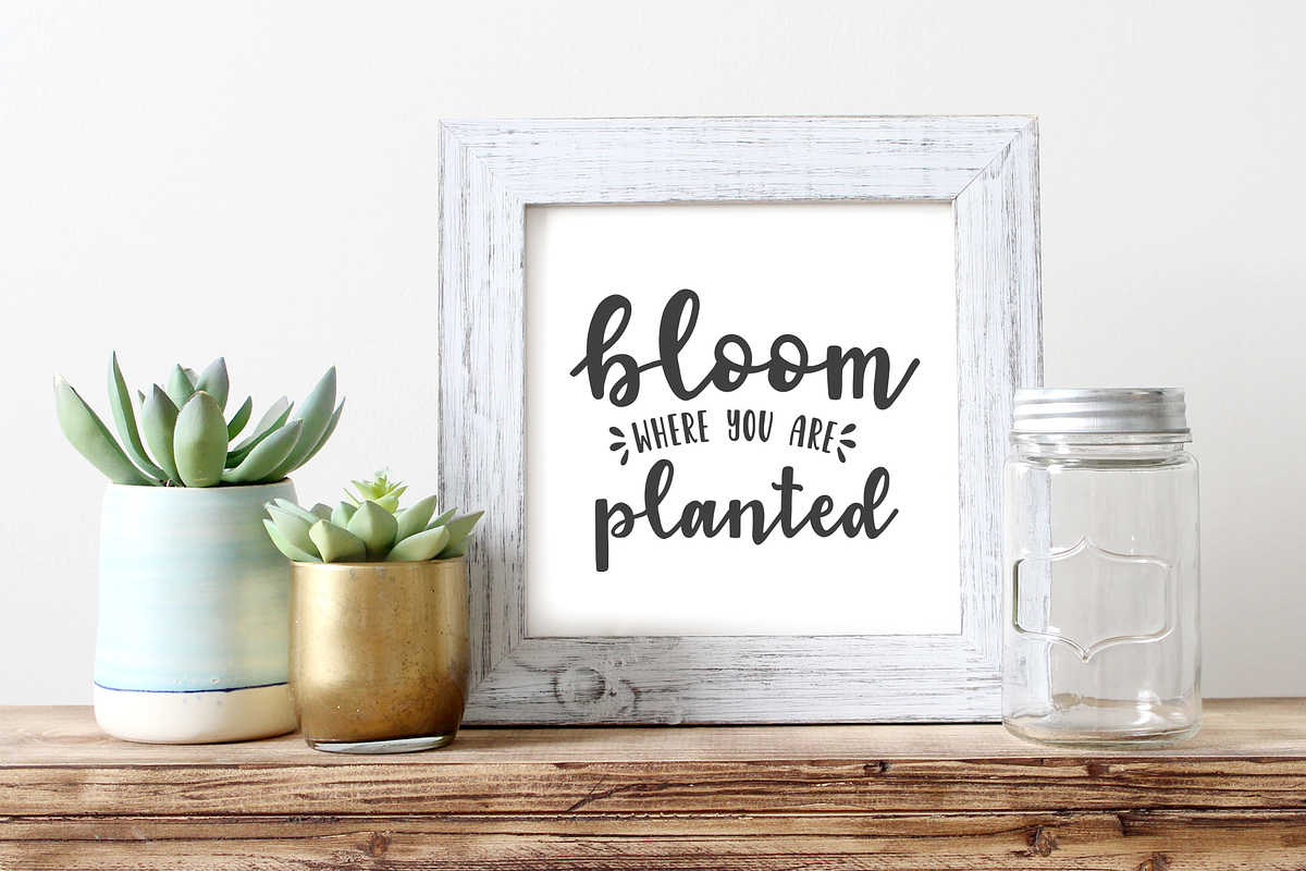 Garden Fancy Font Duo with Extras preview 5