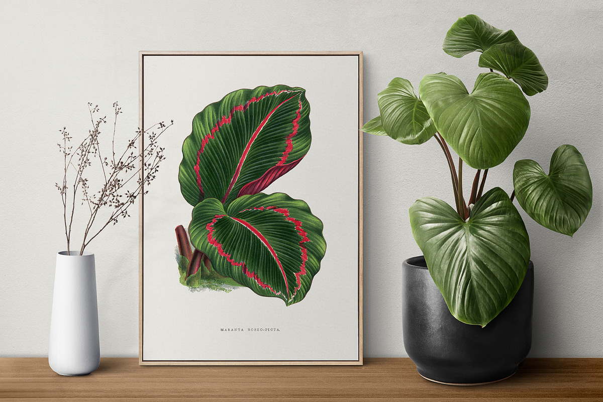 Vintage Leaves & Botanicals Ephemera, a Graphic by Craftsy Crafters (Photo 5 of 6)