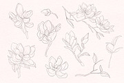 Modern Magnolia Floral Illustrations, an Illustration by Fire Spark Studio (Thumbnail 3 of 9)