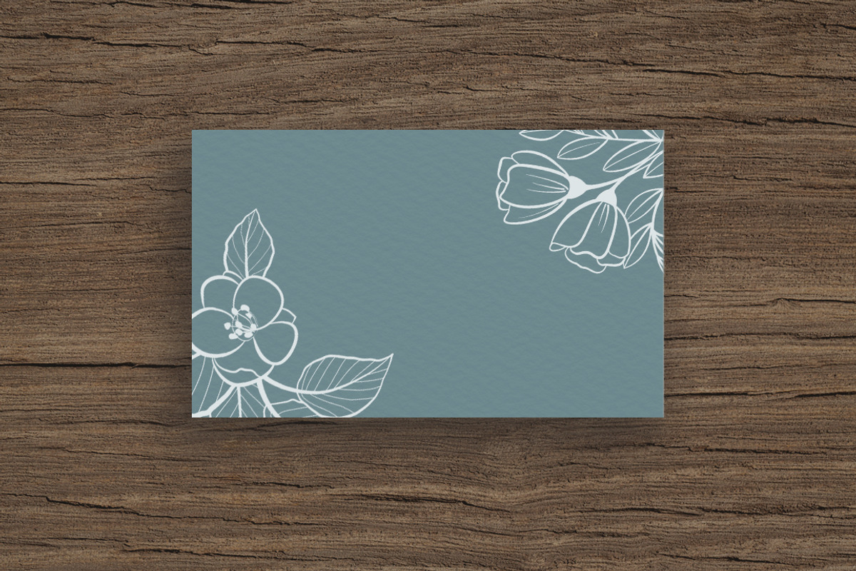 Hand Drawn Botanical Elements, a Decorative Illustration by Solana (Photo 3 of 3)