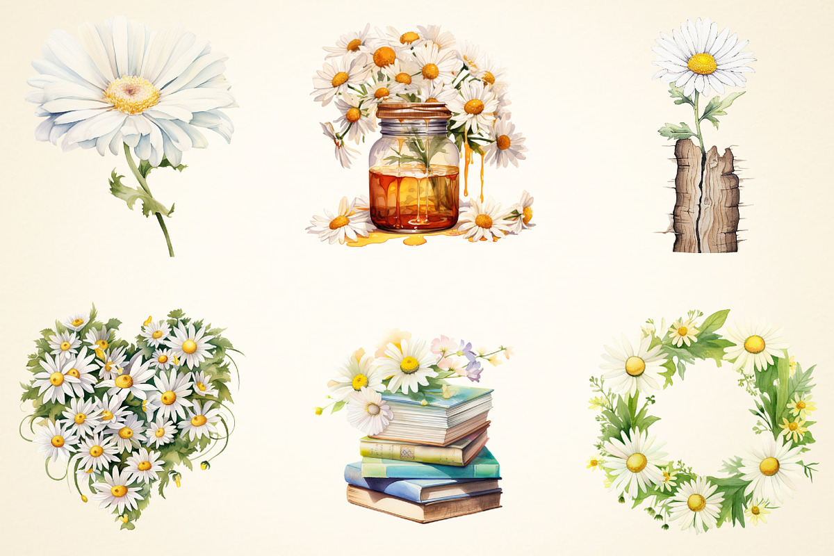 Spring Daisy Flower Clipart Bundle, a Work Illustration by OK Design (Photo 3 of 3)
