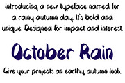 Font October Rain Earthy Autumn Bold, a Sans Serif Font by PageLightStudios (Thumbnail 2 of 4)