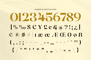 Egola - Elegant Luxury Font, a Serif Font by Sensatype (Thumbnail 11 of 12)