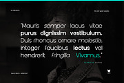 Ericken Display Typeface, a Sans Serif Font by Foxtype (Thumbnail 4 of 12)