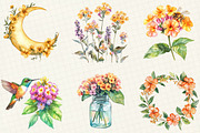 Watercolor Lantana Flower Clipart, an Illustration by OK Design (Thumbnail 4 of 5)