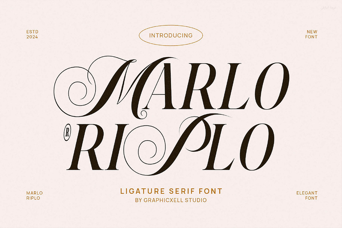 Marlo Pirlo Elegant & Premium Serif, a Serif Font by Graphicxell (Photo 1 of 6)