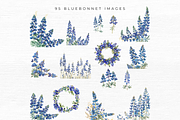 BLUEBONNET FLOWER CLIPART, an Object Graphic by EllyandLima (Thumbnail 4 of 7)