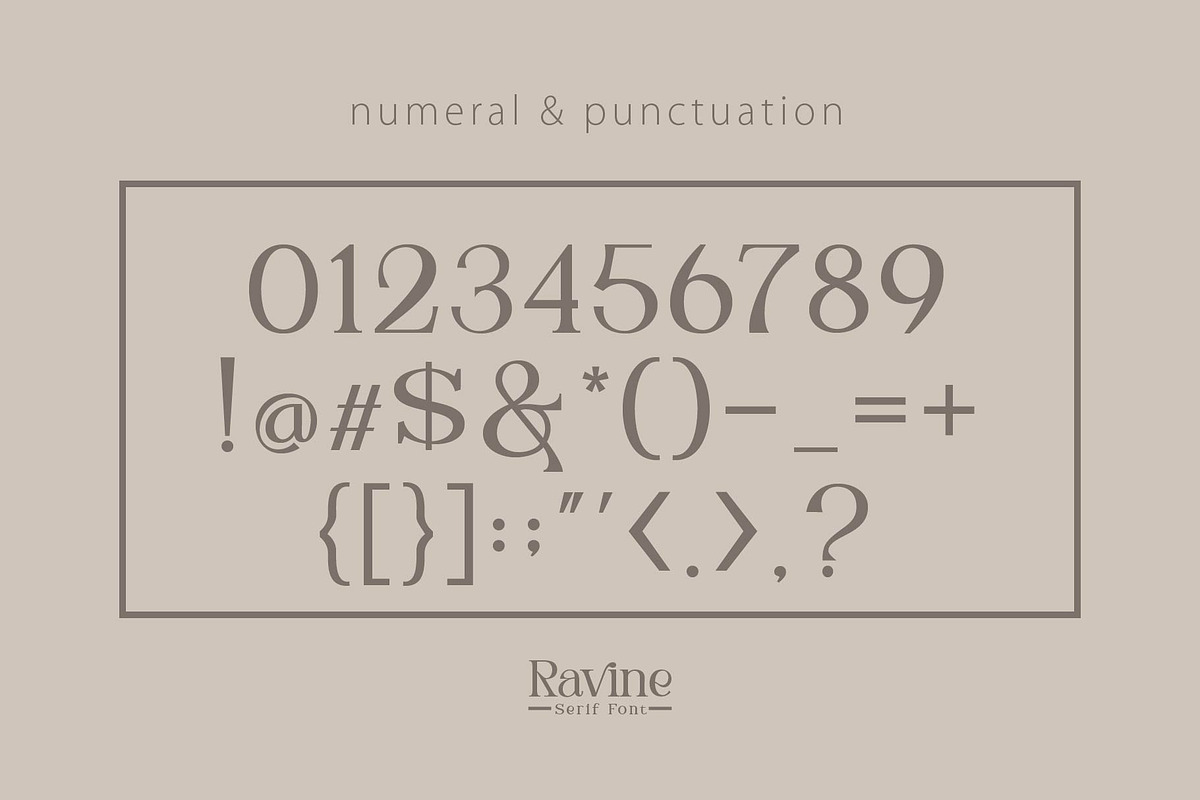 Ravine - modern serif, a Serif Font by Olexstudio (Photo 10 of 11)