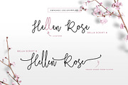 Wonderland Fonts Pack & Branding Kit, a Script Font by Graphicdome (Thumbnail 75 of 118)