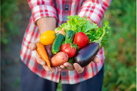 A man farmer holds a harvest of, a Food & Drink Photo by yanadjana