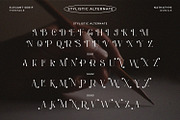 Romile, a Serif Font by Nathatype (Thumbnail 10 of 12)