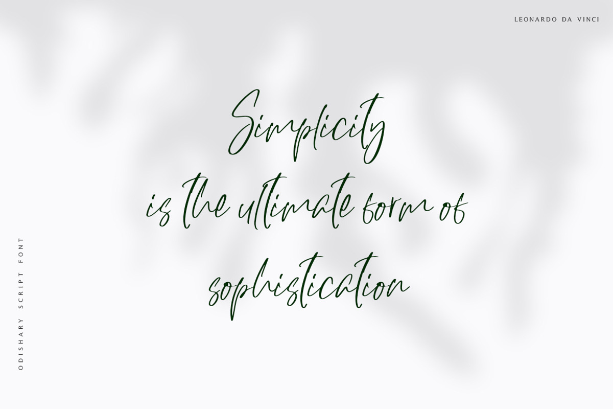 Odishary & Modric Font Duo, a Sans Serif Font by Motokiwo (Photo 3 of 14)