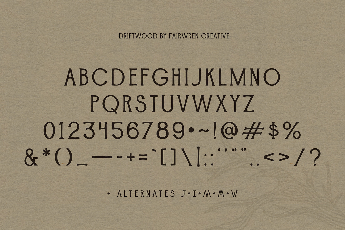 Driftwood, a Serif Font by Fairwren Creative (Photo 6 of 6)