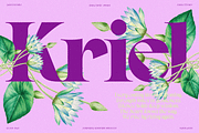 GAGEN — Modern Serif Font Family, a Serif Font by Enxyclo Studio (Thumbnail 8 of 17)