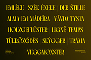 VERONA - Vintage Classic Serif, a Serif Font by The_Type (Thumbnail 8 of 12)