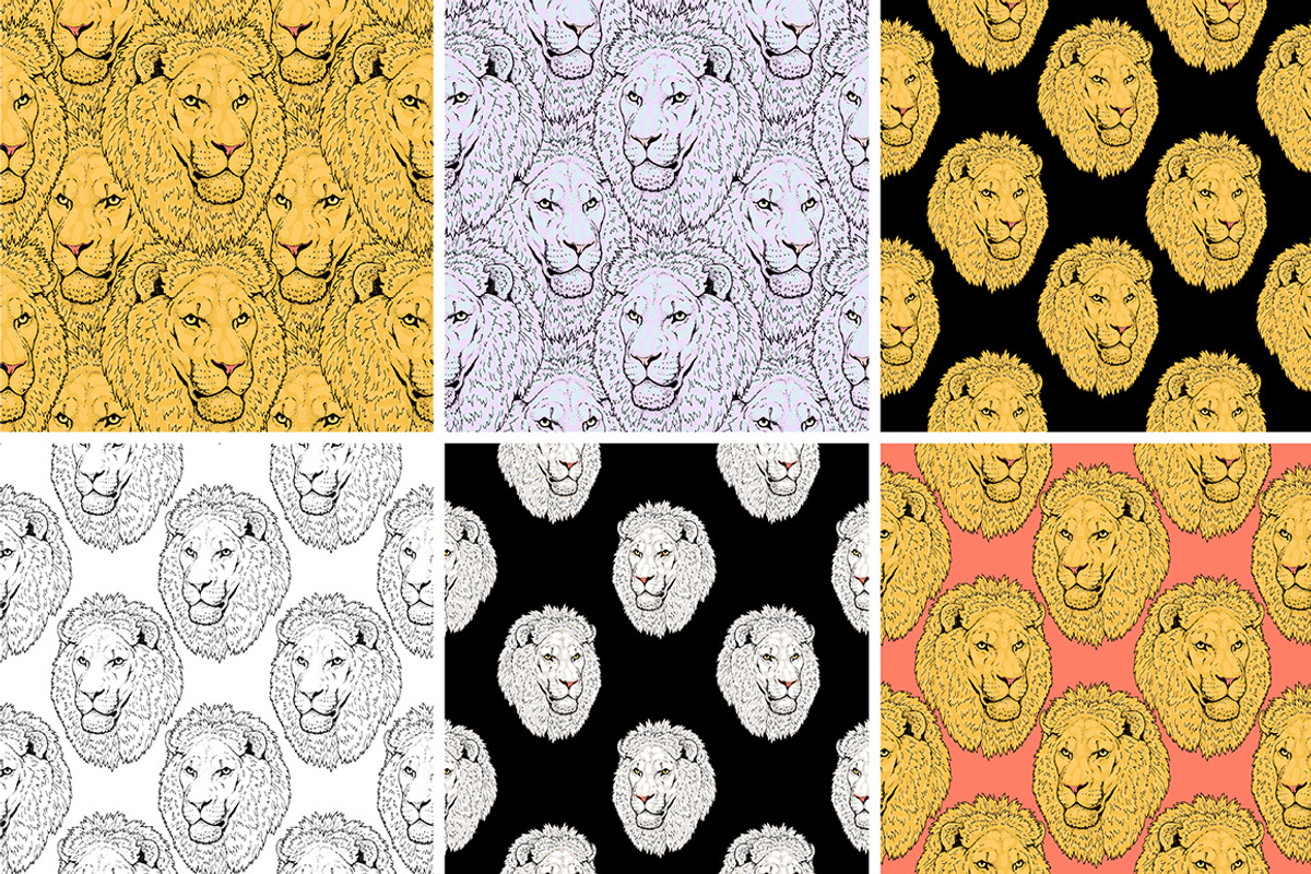 LIONS set, an Animal Illustration by Tanya Akhmett (Photo 4 of 5)