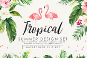 Summer Design Set-Tropical, an Animal Illustration by Graphic Box (Thumbnail 1 of 9)
