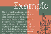 Feuillue | serif font, a Serif Font by Wander Designs (Thumbnail 6 of 6)