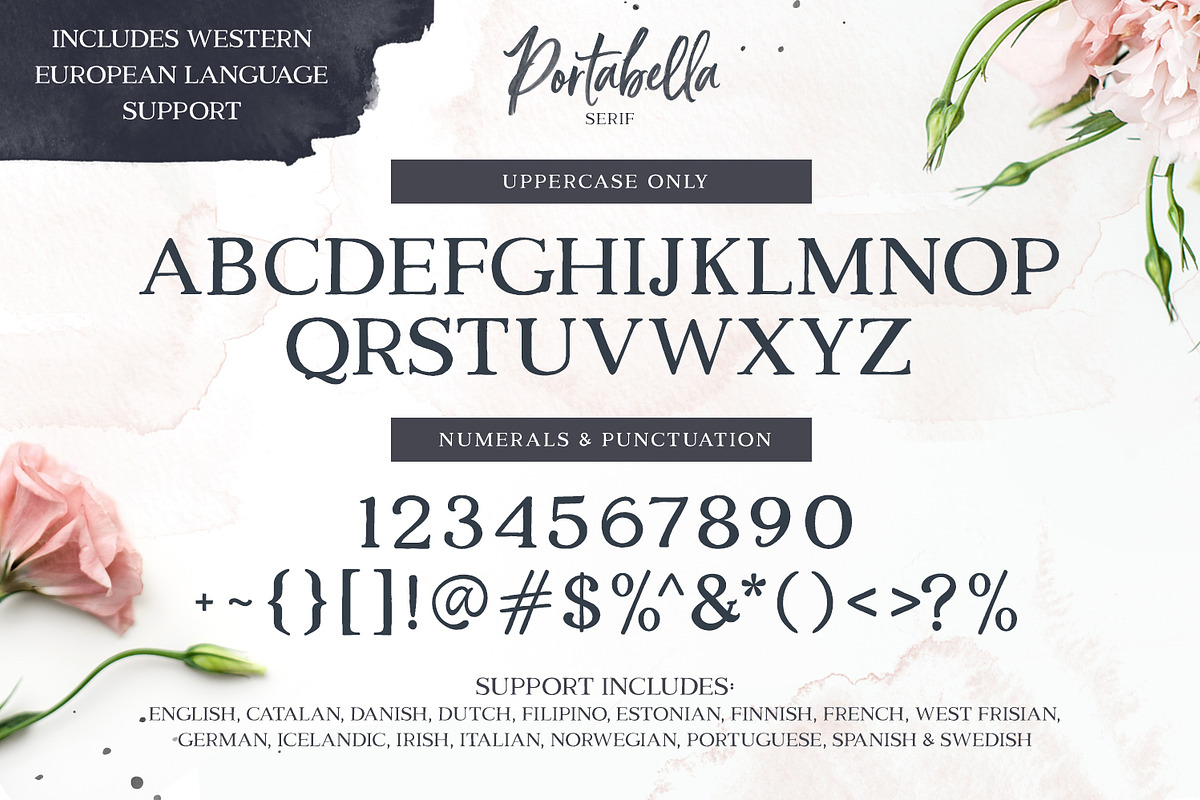 Portabella Font Collection, a Script Font by Callie Rian & Co. (Photo 12 of 19)