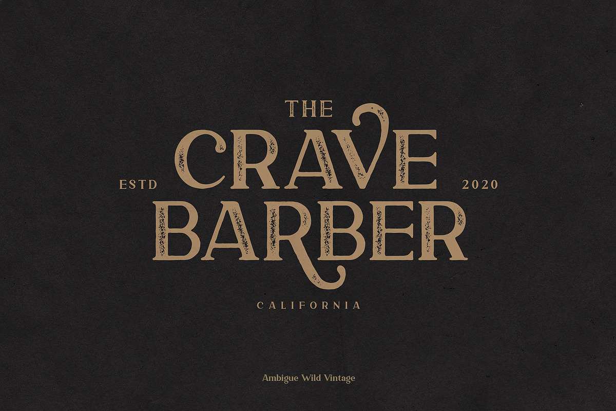 Ambigue Wild Modern x Vintage Serif, a Serif Font by Wandery Supply (Photo 18 of 22)