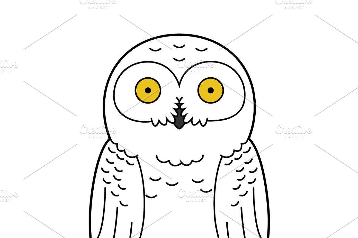 16x Arctic and Antarctic Animals, an Animal Illustration by asantosg (Photo 4 of 8)