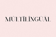 Oakleaf - Elegant & Unique Serif, a Serif Font by Mikhail Fukurou (Thumbnail 9 of 9)
