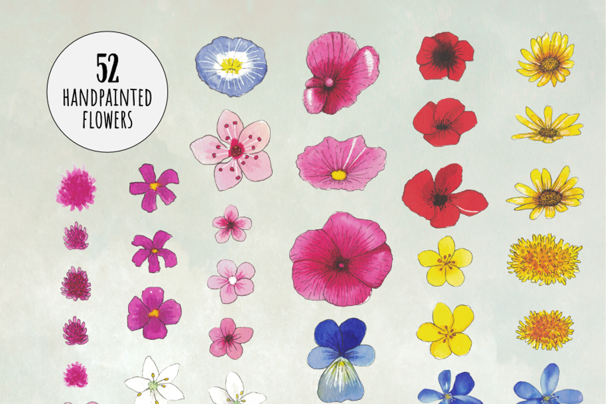 Watercolor Wildflower Collection, an Illustration by Littlefield Design (Photo 4 of 9)