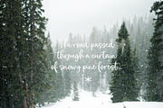 Magic Winter script font duo & logos, a Script Font by Tabita's shop (Thumbnail 20 of 20)