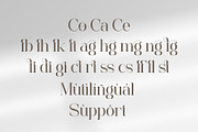 Colgan - Stylish Serif Font, a Serif Font by Aqeel_Art (Thumbnail 12 of 12)