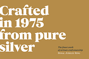 Dialecta Text, a Serif Font by Craceltype (Thumbnail 8 of 9)