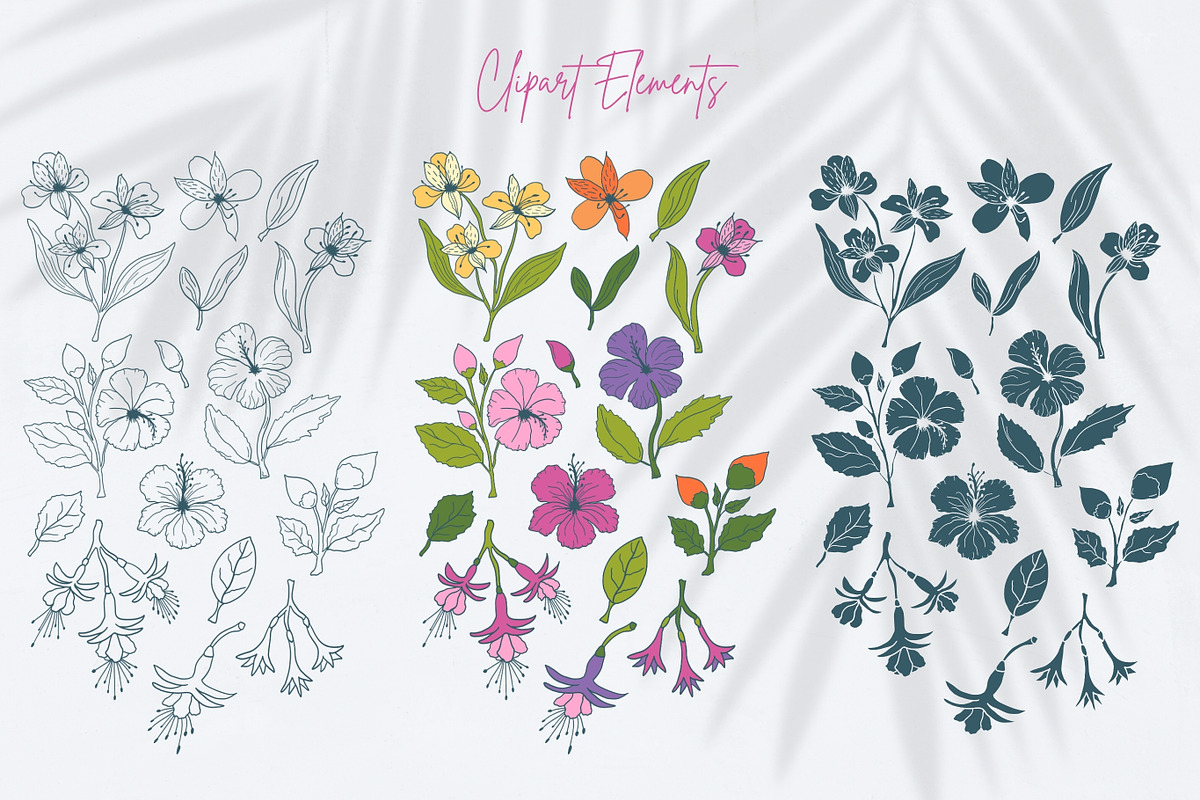 Summer florals & geometric patterns, a Decorative Illustration by CapriceMeDesigns (Photo 3 of 18)
