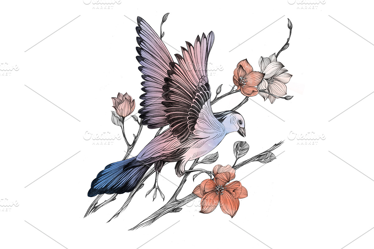 Bird on branch., an Animal Illustration by VitalinaGofman (Photo 1 of 2)