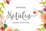 Calligraphy Big Bundle (95%off), a Script Font by groens (Thumbnail 39 of 46)